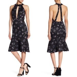 Endless Rose Black Floral Dress